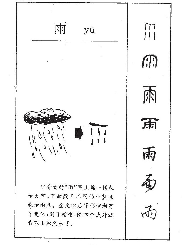 雨