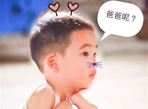 茴字在取名里有什么含义_茴字五行属什么