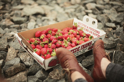玂字在取名里有什么含义_玂字五行属什么