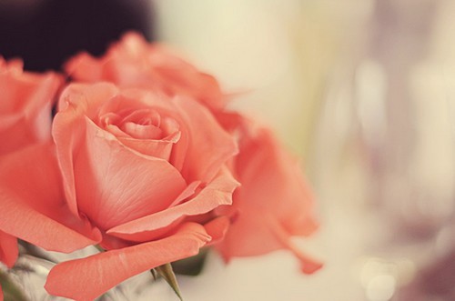 程姓男孩取名内涵诗意名字 程姓男孩取名内涵诗意名字