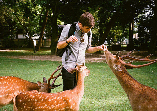 段姓最好听的名字