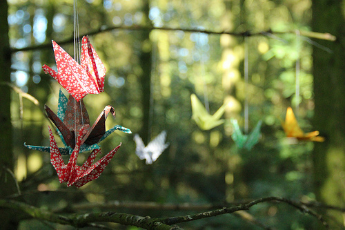 文静清雅的女孩名