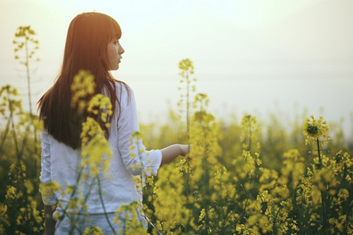 张姓女孩名字顺口好听